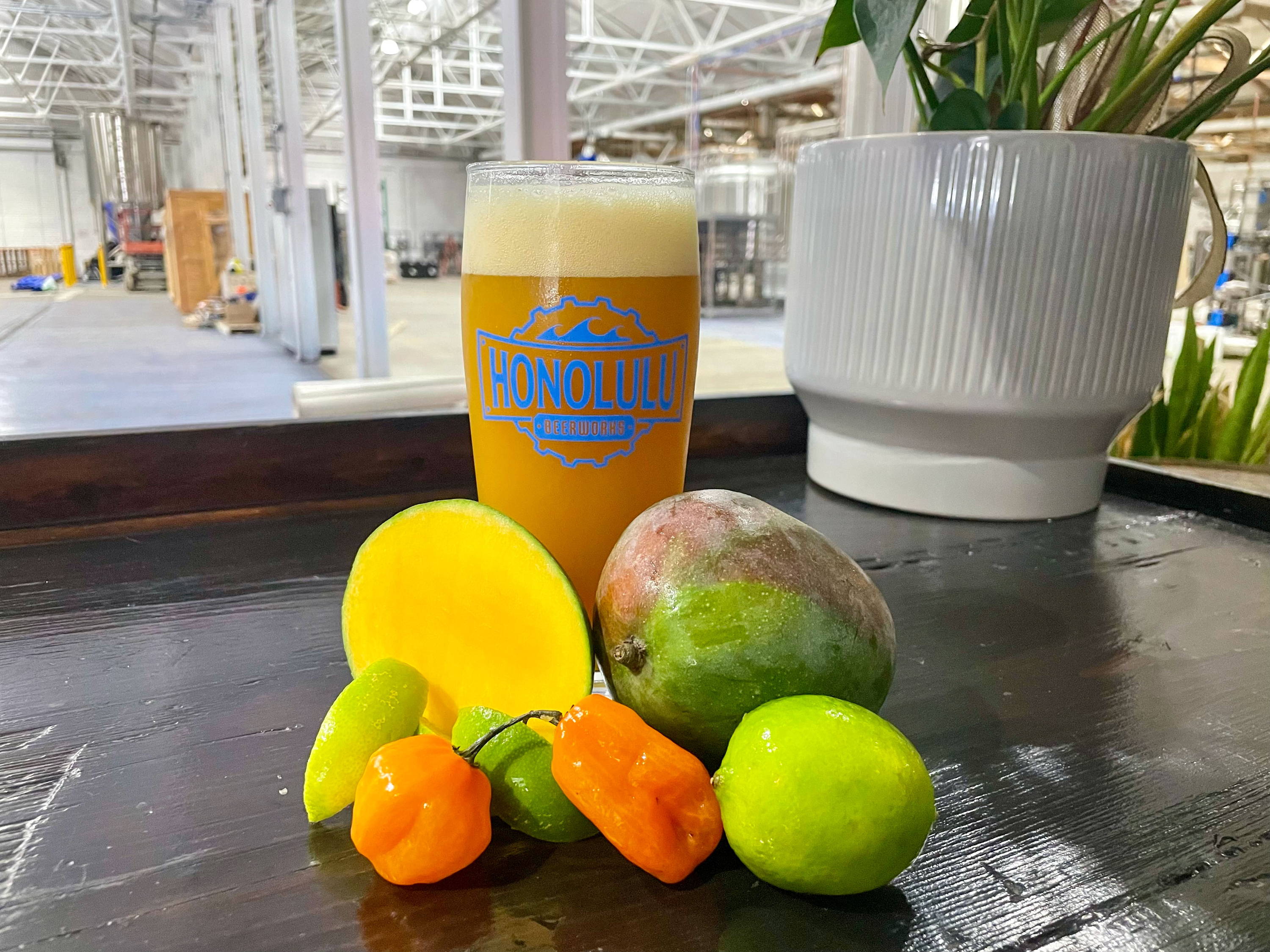 水溜りボンドール Japanese BEER - 2022 – Honolulu Beerworks